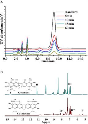 Intramolecular Annulation of Gossypol by Laccase to Produce Safe Cottonseed Protein